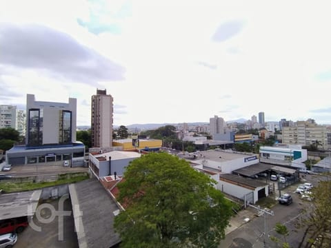 Image 6 - 252299
